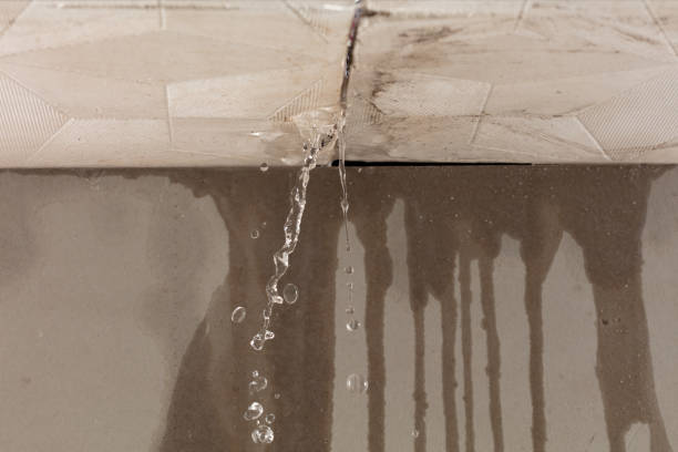 Professional Burst Pipe Cleanup technician working in Oakdale, TN